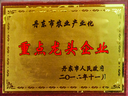 丹東市農業(yè)產業(yè)化重點龍頭企業(yè)